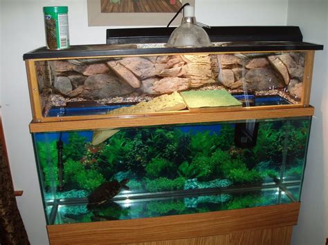 Above Tank Basking Area Turtle Terrarium Turtle Aquarium Turtle