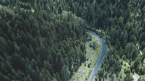 Download Wallpaper 1280x720 Road Trees Top View Forest Turn Hd Hdv 720p Hd Background