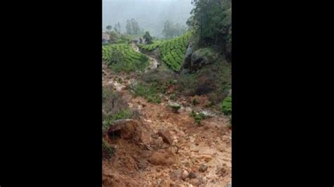 Landslide In Munnar 5 Tea State Workers Killed Several Feared Trapped