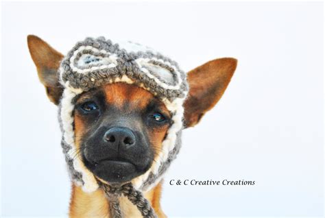 Aviator Dog Hat Pet Hat Cat Hat Dog By Cccreativecreations