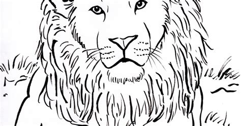 Lion pdf, png & jpeg digital download coloring page. Lion Coloring Page - Art Starts