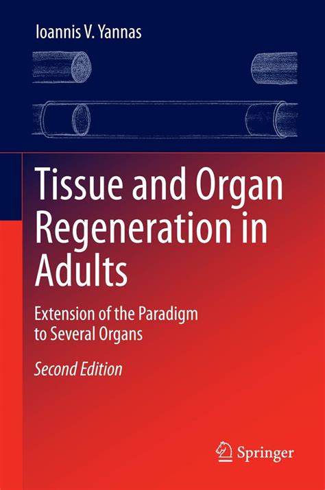 Tissue And Organ Regeneration In Adults Extension Of The Paradigm To