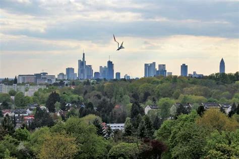 Lohrberg is an amazing lookout point which gives you panoramic views over the city. BLICK VOM LOHRBERG AUF DIE FRANKFURTER SKYLINE . (mit ...
