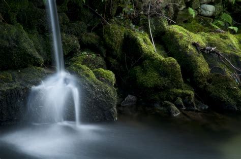 Online Crop Waterfalls With Green Moss Hd Wallpaper Wallpaper Flare