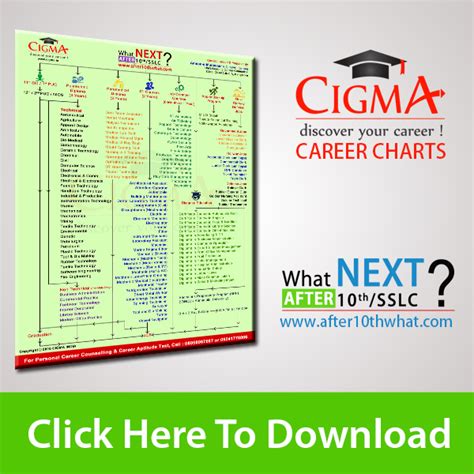 All you have to do is write in the credits you did manage to get. Cigma Career Chart After 10th What Next in India