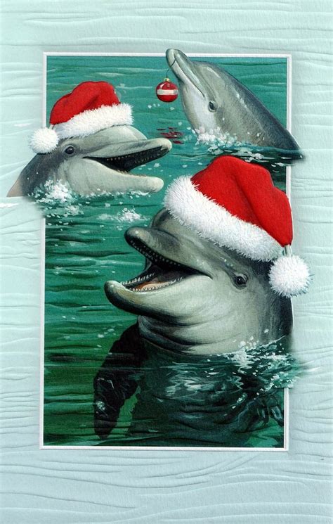 West marine is your number one source of all things marine. 16 Boxed Embossed Christmas Cards Bottlenose Dolphin Ocean ...
