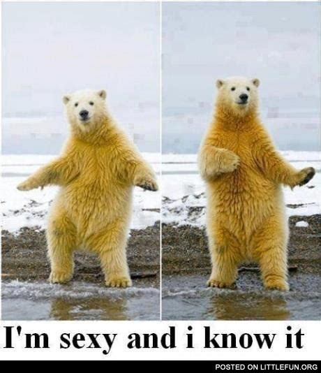 Littlefun Im Sexy And I Know It Polar Bear