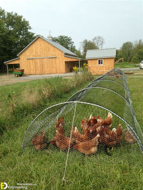 50 beautiful diy chicken coop ideas you can actually build engineering discoveries