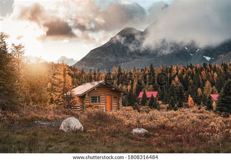 Wooden Huts Sunshine Autumn Forest Assiniboine Stock Photo Edit Now