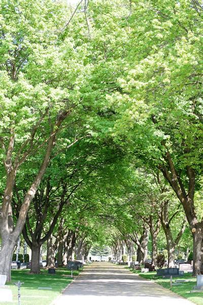 Hours may change under current circumstances Cemetery | Missoula, MT - Official Website