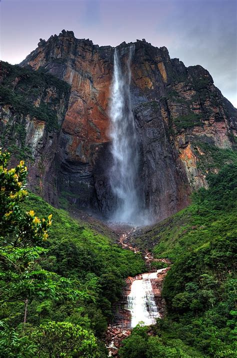 Venezuela The Angel Falls Bolivar State Angel Falls Venezuela
