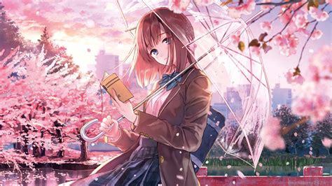 Anime Girl Cherry Blossom Season 4k Hd Wallpapers Hd Wallpapers Id 31078