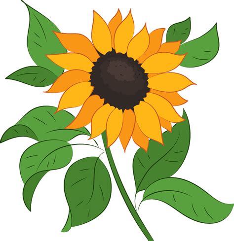 Free 197 Transparent Background Sunflower Clipart Free Svg Png Eps Dxf File