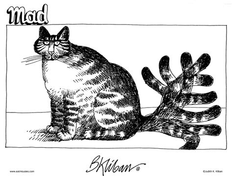 Today On Klibans Cats Comics By B Kliban Kliban Cat Cats Crazy Cats
