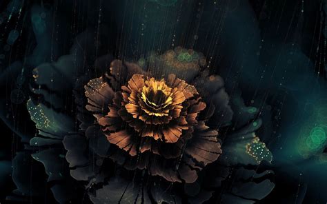 Free Download Beautiful Abstract Flower Dark Wallpaper 1440x900 For