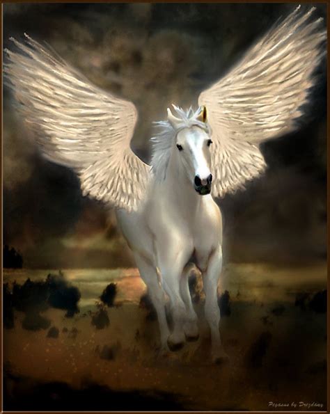 Pegasus By Drezdany On Deviantart Fantasy Art Unicorns Fairies