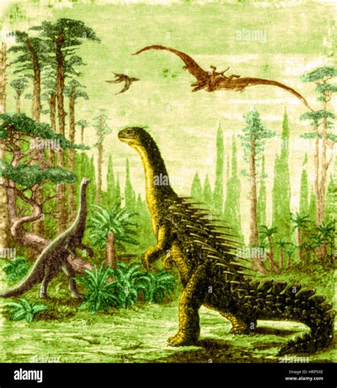Dinosaurios Herbivoros Comiendo Fotografías E Imágenes De Alta