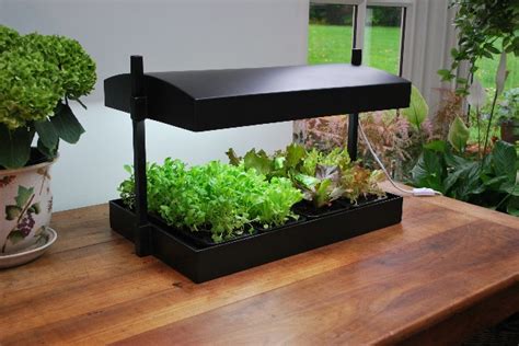All diy kits diy led kit qb. Grow Light Kitchen Herb Garden £87.99