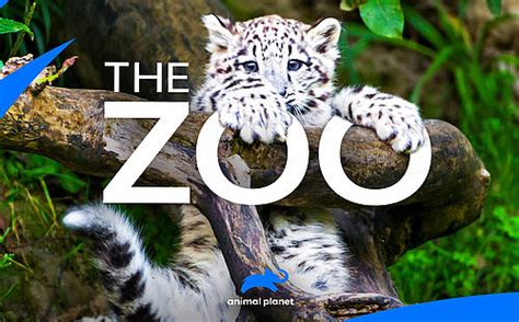 Animal Planets One Of A Kind Series The Zoo Moves To 8pm Etpt On