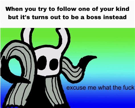 Why Poh Why Rhollowknightmemes