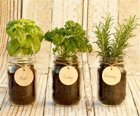 Diy Mason Jar Herb Garden Indoor Herbs For The Kitchen