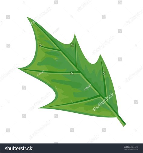Green Leaf Vector Illustration Flat Design Stock Vector Royalty Free