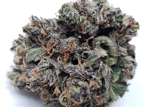 We did not find results for: Buy Grease Monkey Online | Buy Cannabis Cheap Weed Ounces ...