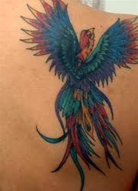 We did not find results for: Phoenix Tattoo Designs And Meaning-Phoenix Tattoo Ideas ...