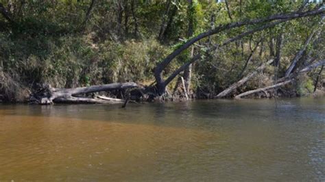 Learn To Read The Water On The Bogue Chitto River