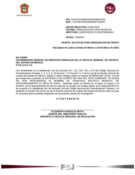 Total Imagen Modelo De Escrito Solicitando Designacion De Perito