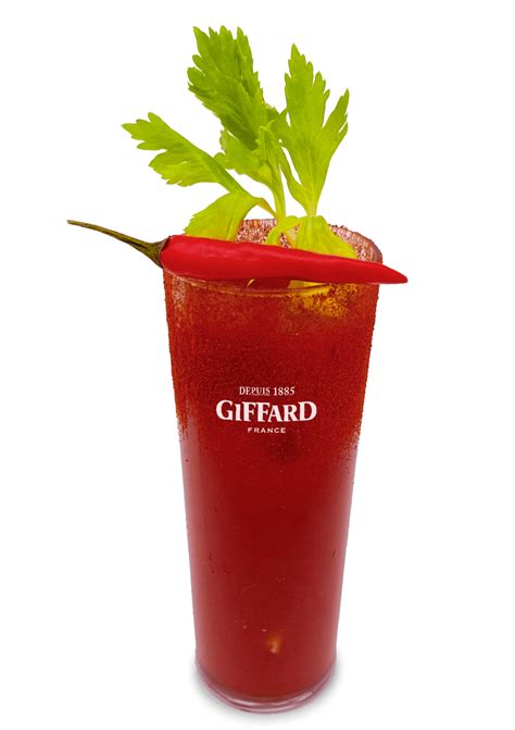 Giffard Ginger Alcohol Free