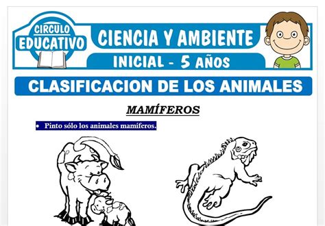 Clasificación De Los Animales Para Niños De Cinco Años Fichas Gratis