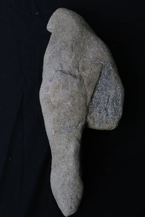 Bird Effigies Stone Artifacts Of Northern Georgia Indigenous