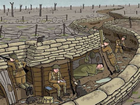Why Were The Trenches Used In Ww1 Teaching Resources