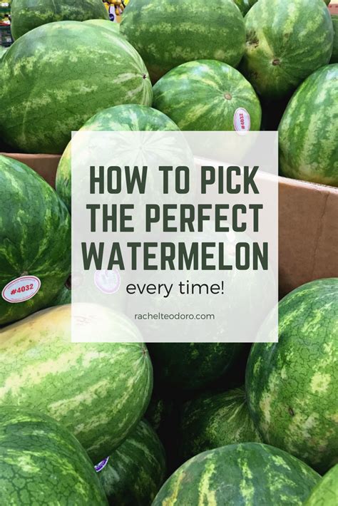 For additional visual cues to know when your watermelon is ripe, this video on harvesting watermelon gives some very useful tips. How To Pick the Perfect Watermelon Every Time! - Rachel ...