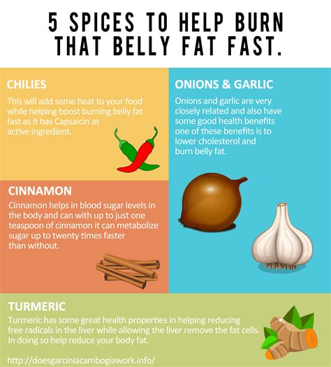 5 Spices That Help To Burn That Belly Fat Fast Infographic ~ Visualistan