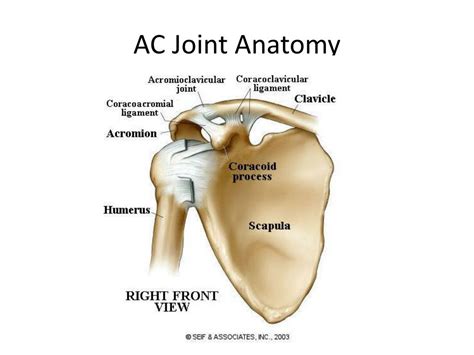 Ppt Ac Joint Injury Powerpoint Presentation Free Download Id2942282