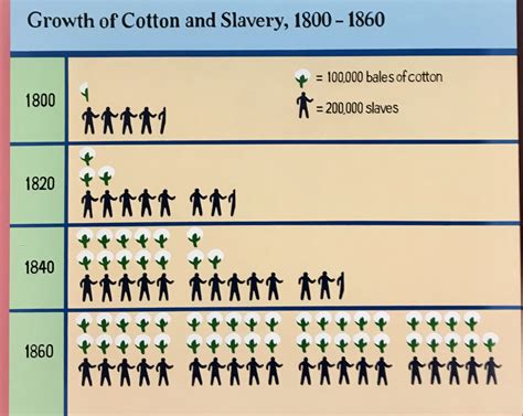 Growth Of Cotton And Slavery 1800 1860 Mks Con Brio
