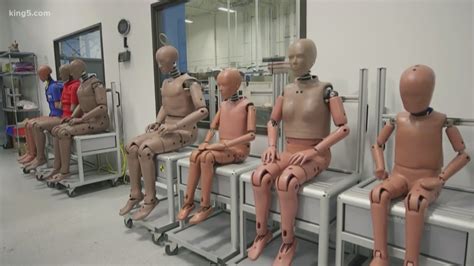 Crash Test Dummy Representing Average Woman Doesn T Exist King Com