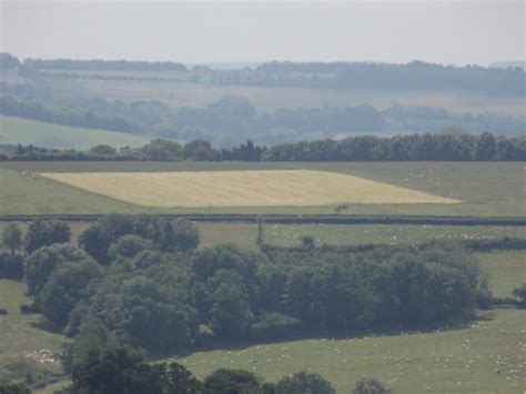 Melbury Abbas Field Within A Field At Chris Downer Geograph Britain And Ireland
