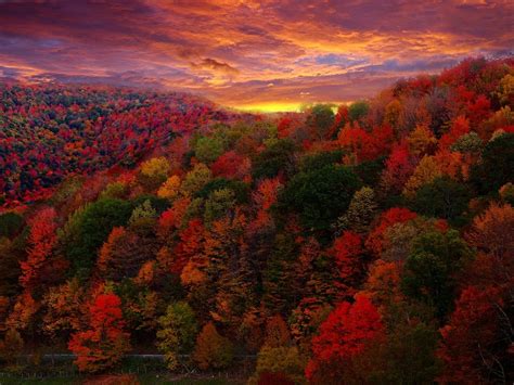 Beautiful Photography Of Fall