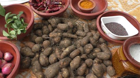 51 видео 47 просмотров обновлено 4 дня назад. village Cooking kurka recipe - koorka kizhangu poriyal in ...
