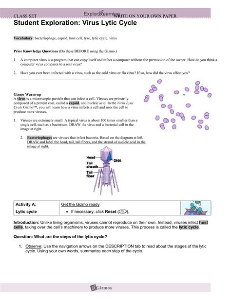 Worksheets are section 102 cell division, cell structure exploration activities, cell energy cycle gizmo answer questions ebooks pdf, amoeba sisters recap of meiosis answer key, the carbon cycle teacher led lesson plan, student. Student Exploration Cell Division Gizmo Answer Key Pdf ...