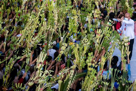 Rappler On Twitter Palm Sunday Devotees Wave Their Palm Fronds Or