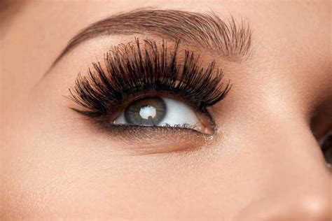 How To Apply And Reuse Fake Eyelashes The Nevermind Blog