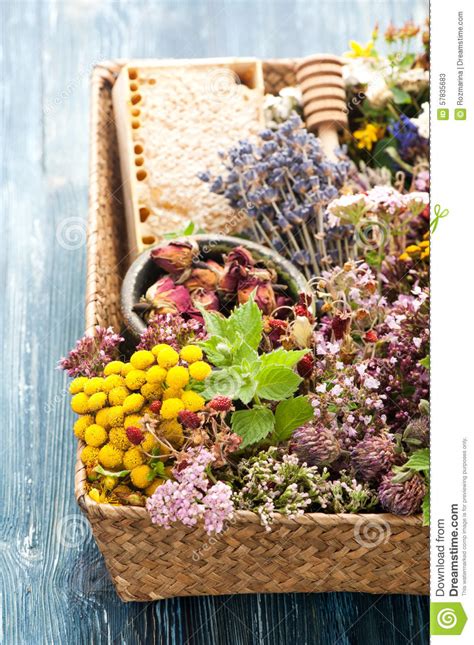Dried And Fresh Herbs And Flowers In Basket And Honeycomb