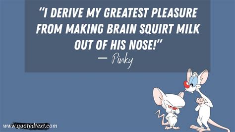 The series has a total of 4 seasons and 66 episodes. 25+ Best Pinky and the Brain Quotes - QuotedText