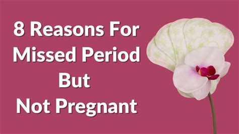8 Reasons For Missed Period But Not Pregnant Visitjoy Youtube