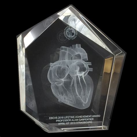 Original Shaped Trophy Award And 3d Laser Engraving