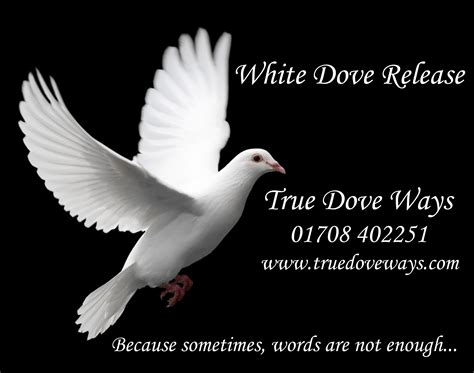 Doves For Funerals Covering Essex Kent And London